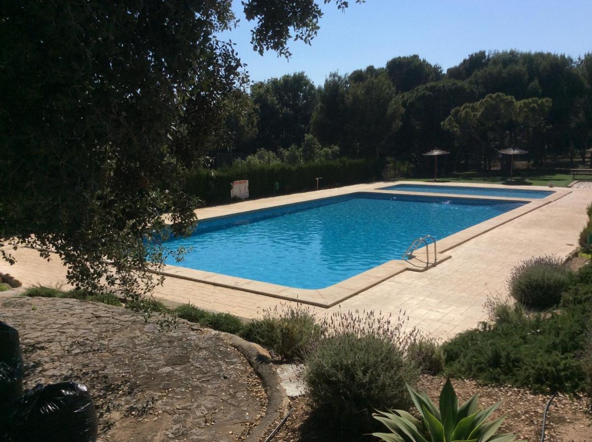 Appartement Arabiluk à L'Alfas del Pi Extérieur photo